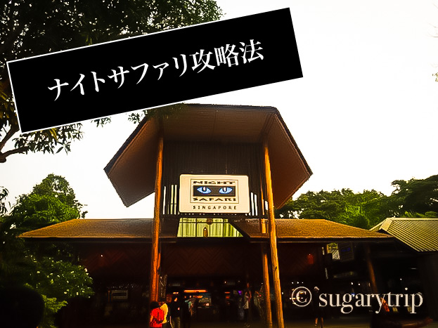 シンガポール夜の動物園攻略法 ナイトサファリは時間指定チケットを買う Sugaryの子連れで行こう節約海外旅行